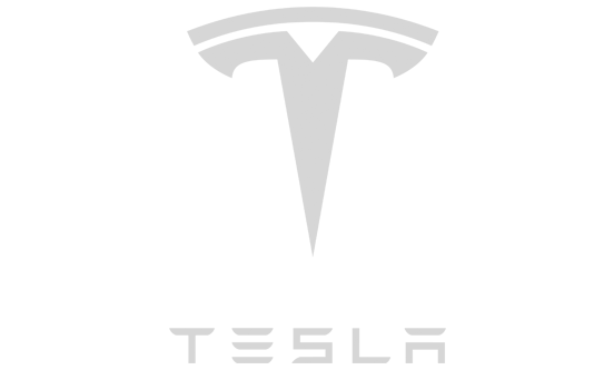 teslas white